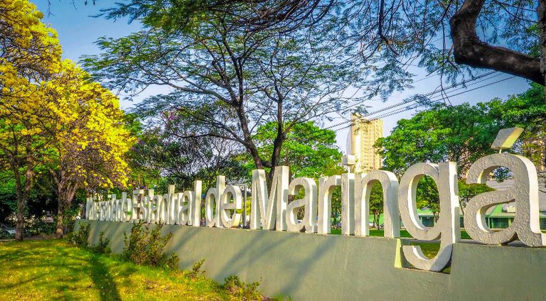 Universidade Estadual de Maringá.jpg